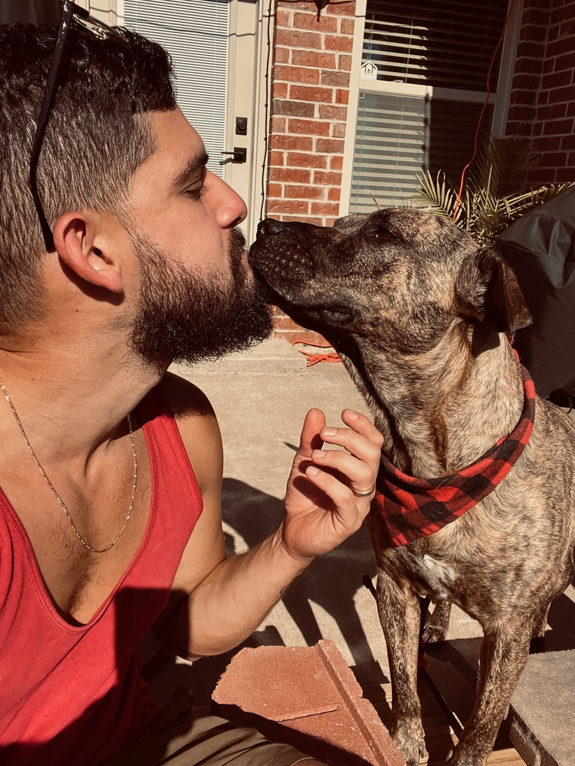 Dog Trainer Danny Alvarez from Alvarez Canine Academy with cute dog Reina, brindle rescue dog