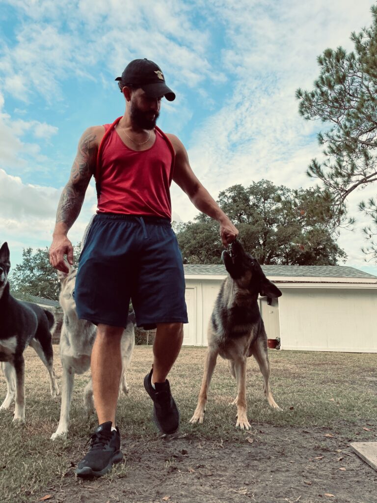 Dog Trainer Danny Alvarez from Alvarez Canine Academy with with German Shepherds cundcting a training session